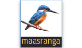 Maasranga Television Logo