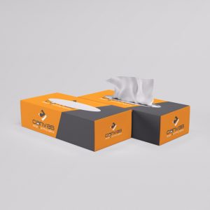 Customize Tissue box