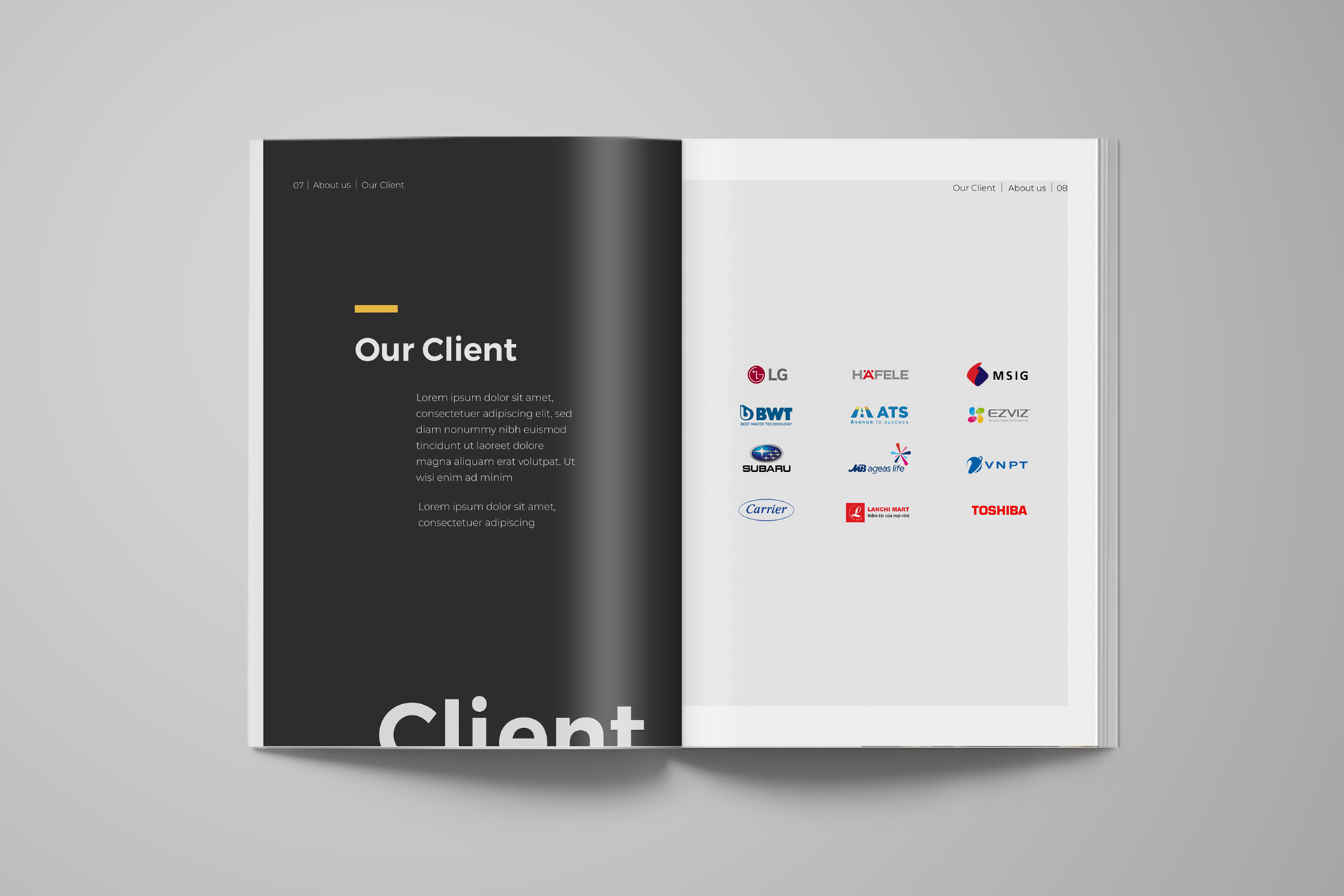 Our Clients - Company Profile